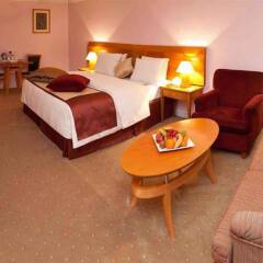 Отель Petra Inn Hotel Иордания, Вади-Муса - отзывы, цены и фото номеров - забронировать отель Petra Inn Hotel онлайн комната для гостей фото 4