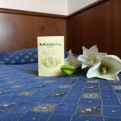 Отель Minerva Италия, Порденоне - отзывы, цены и фото номеров - забронировать отель Minerva онлайн ванная