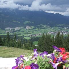 Отель Austria Австрия, Вестендорф - отзывы, цены и фото номеров - забронировать отель Austria онлайн фото 5