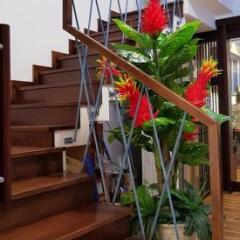 Son Trang Hotel Hoi An балкон