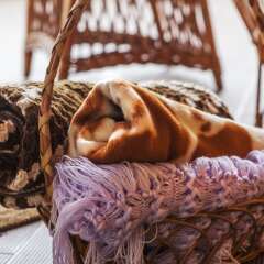 Отель Vintage Charming House 1 Понта-Делгада фото 35