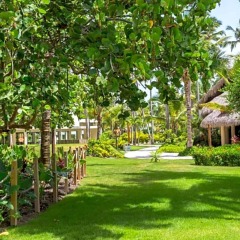 Отель Impressive Resort & Spa Punta Cana – All Inclusive фото 9