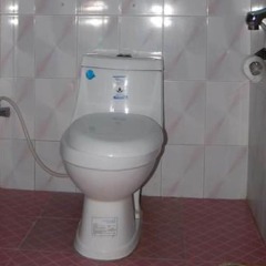 Отель Siddhartha Guest house Непал, Лумбини - отзывы, цены и фото номеров - забронировать отель Siddhartha Guest house онлайн ванная фото 2