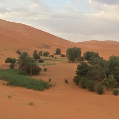 Отель Sahara Sabaku Tour Camp Марокко, Мерзуга - отзывы, цены и фото номеров - забронировать отель Sahara Sabaku Tour Camp онлайн фото 4