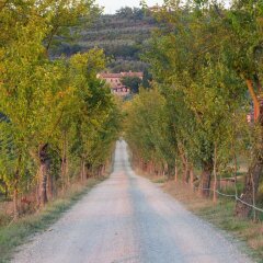 Отель Agriturismo Il Palazzo Ареццо приотельная территория фото 2