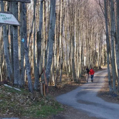 Отель Agriturismo Sentiero Dei Sapori Аджерола спортивное сооружение