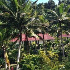 Отель Wellesley Resort Фиджи, Вити-Леву - отзывы, цены и фото номеров - забронировать отель Wellesley Resort онлайн фото 8