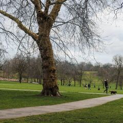 Отель New Super 1 Bedroom Flat in the Heart of Greenwich спортивное сооружение