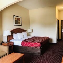 Отель Econo Lodge Inn & Suites Beaumont США, Бомонт - отзывы, цены и фото номеров - забронировать отель Econo Lodge Inn & Suites Beaumont онлайн комната для гостей фото 4