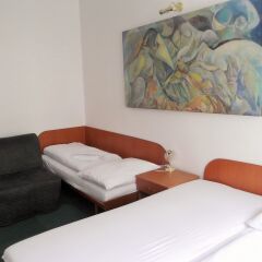 Elen's Hotel Arlington Prague комната для гостей фото 2