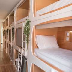 Отель The Mulberry Tree Lisbon Hostel Португалия, Лиссабон - отзывы, цены и фото номеров - забронировать отель The Mulberry Tree Lisbon Hostel онлайн детские мероприятия фото 2