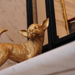 Отель B&B Au Lit Jerome удобства в номере фото 2