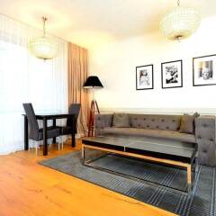 Апартаменты Vienna Residence Classy Apartment for 2 People Right in the Center of Vienna Вена комната для гостей фото 3