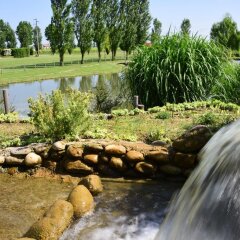 Отель Agriturismo Fondo San Benedetto Мазера-ди-Падова фото 2