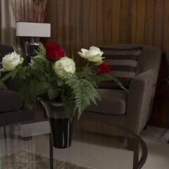 Hotel Sao Jose