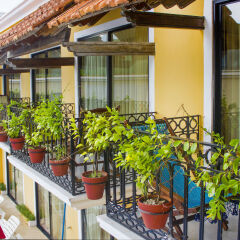 Отель Caribbean Paradise Boutique And Dive Center Плая-дель-Кармен балкон