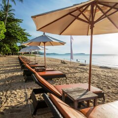 Отель New Star Beach Resort пляж