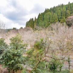 Hosenji Kanko Hotel Yumotoya Минамиогуни фото 7