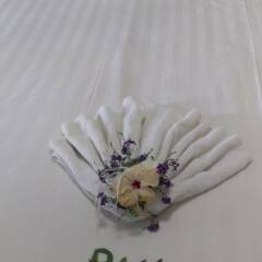 Victoria Hotel Fiji Вити-Леву интерьер отеля