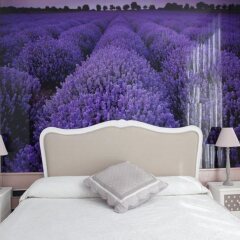 Отель Vilana Hotel Испания, Барселона - отзывы, цены и фото номеров - забронировать отель Vilana Hotel онлайн комната для гостей фото 2