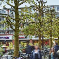 Отель Holiday Inn Express Amsterdam - Schiphol Нидерланды, Хофддорп - отзывы, цены и фото номеров - забронировать отель Holiday Inn Express Amsterdam - Schiphol онлайн фото 4