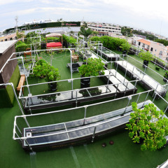 Reina Roja Hotel - Adults Only