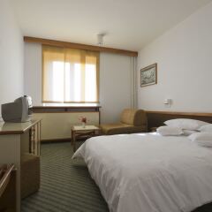 Bat Hotel Bistrica in Jahorina, Bosnia and Herzegovina from 146$, photos, reviews - zenhotels.com guestroom