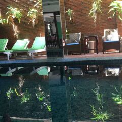 Отель Golden River Hotel Вьетнам, Хойан - 1 отзыв об отеле, цены и фото номеров - забронировать отель Golden River Hotel онлайн с домашними животными