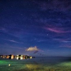 Ocean Star Hotel in Koror, Palau from 117$, photos, reviews - zenhotels.com photo 3