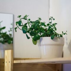 Отель ORAS hostel Литва, Вильнюс - 9 отзывов об отеле, цены и фото номеров - забронировать отель ORAS hostel онлайн интерьер отеля фото 3