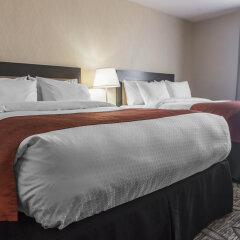 Отель Quality Inn & Suites Канада, Кингстон - отзывы, цены и фото номеров - забронировать отель Quality Inn & Suites онлайн комната для гостей