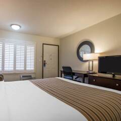 Отель Rodeway Inn Convention Center США, Лос-Анджелес - отзывы, цены и фото номеров - забронировать отель Rodeway Inn Convention Center онлайн удобства в номере фото 2