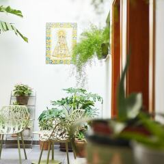 Отель Apartamentos Barracart