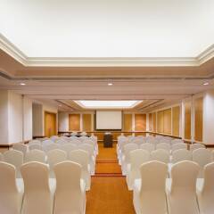Отель Holiday Inn Singapore Orchard City Centre Сингапур, Сингапур - 1 отзыв об отеле, цены и фото номеров - забронировать отель Holiday Inn Singapore Orchard City Centre онлайн фото 8