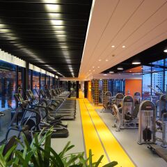 Shanghai Grand Trustel Purple Mountain Hotel фитнесс-зал
