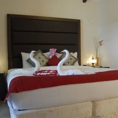 Отель 19Belo Cabana Индия, Северный Гоа - отзывы, цены и фото номеров - забронировать отель 19Belo Cabana онлайн комната для гостей фото 2