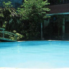 Thanhbinh Ii Antique Hotel Хойан с домашними животными