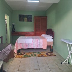 GreenzCove Apartments in Grand Anse, Grenada from 133$, photos, reviews - zenhotels.com guestroom