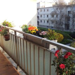 Отель Apartment24 Schoenbrunn Австрия, Вена - отзывы, цены и фото номеров - забронировать отель Apartment24 Schoenbrunn онлайн балкон