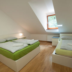Rooms Sincere 1830 in Ljubljana, Slovenia from 101$, photos, reviews - zenhotels.com guestroom photo 2