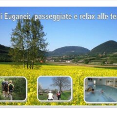 Отель Terme Villa Piave Италия, Абано-Терме - отзывы, цены и фото номеров - забронировать отель Terme Villa Piave онлайн фото 6