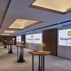 Shangri La Hotel Singapore Сингапур фото 13