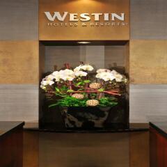 Отель Westin Grand Vancouver Канада, Ванкувер - отзывы, цены и фото номеров - забронировать отель Westin Grand Vancouver онлайн