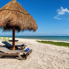 Отель Ocean Riviera Paradise Плая-дель-Кармен пляж