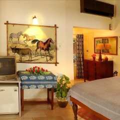 Отель WelcomHeritage Maharani Bagh Orchard Retreat в номере