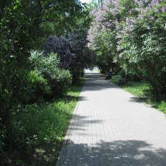 Отель Державная Москва фото 2