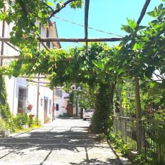 Отель Agriturismo Il Castagno Аджерола фото 3
