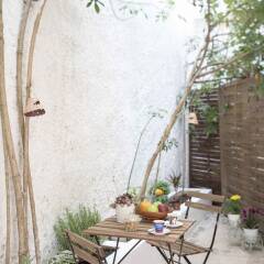 Отель Athenian House in Plaka Афины