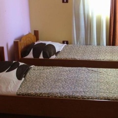 Hotel Dollari с домашними животными