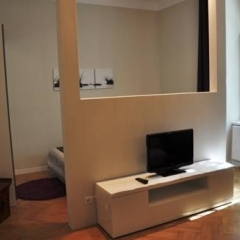 Отель Bluedanube Apartments - Nestroy Австрия, Вена - отзывы, цены и фото номеров - забронировать отель Bluedanube Apartments - Nestroy онлайн удобства в номере